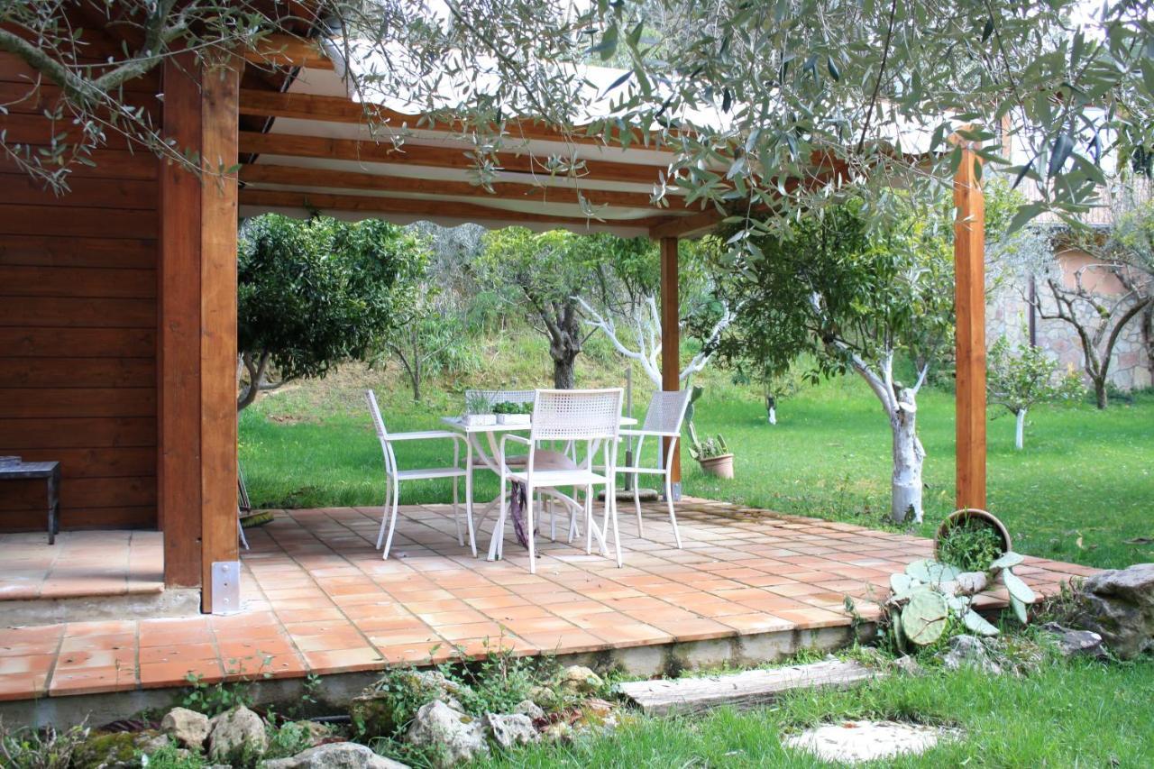 بياتْسا أرمارِنا Villa Clementine المظهر الخارجي الصورة
